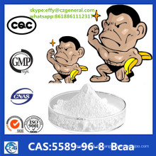 Bulk Bodybuilding Zweig Kette Aminosäure Pulver Bcaa